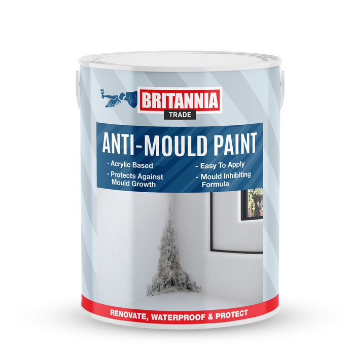 Anti Mould Acrylic Paint