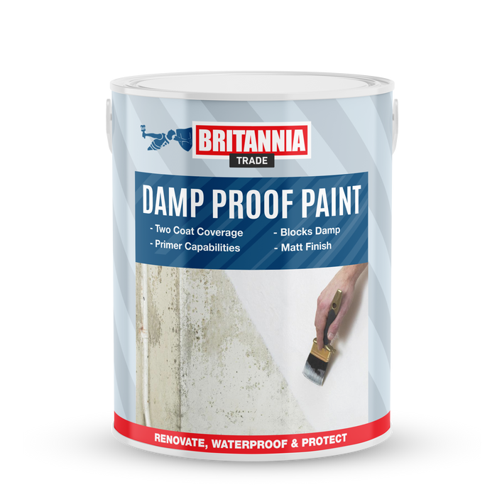 Damp Proof Paint