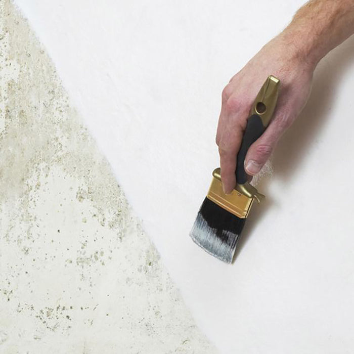 Damp Proof Paint
