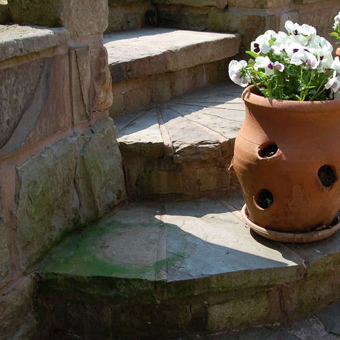 Fungicidal Wash Solution