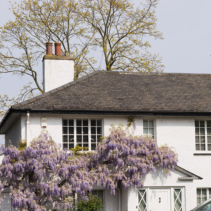 Wallshield Eco Masonry Paint